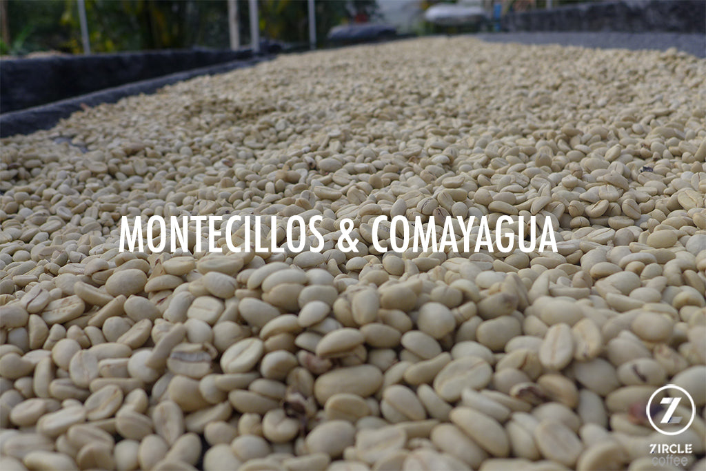 Fascinating Honduran Coffee Regions: Montecillos and Comayagua